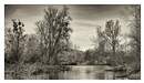 rf_20231227_GFX50S II_DSCF2030G5-Pano-1-2.RAF_LRdev-4k